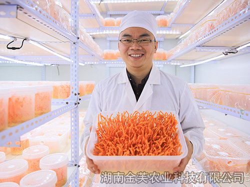 董事長龍新