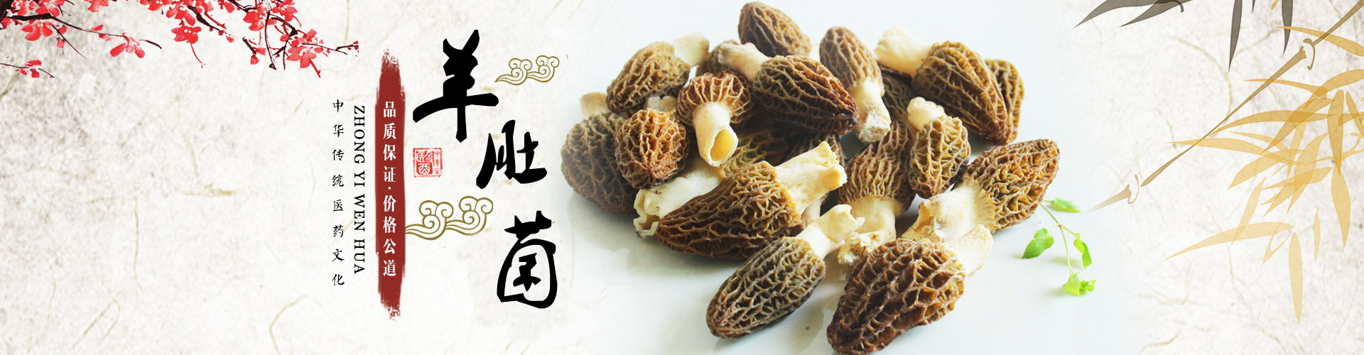 湖南金芙農業科技有限公司_羊肚菌|蛹蟲草鮮品|蛹蟲草干品|蟲草超微粉|蟲草酒哪里好